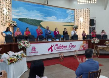 Regional do Baixo Amazonas recebe homenagens em evento alusivo ao Outubro Rosa