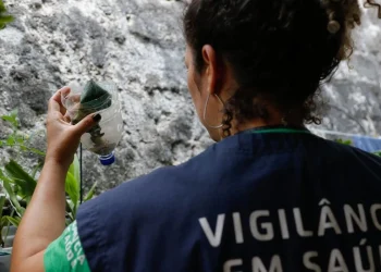 São Paulo registra o maior número de casos de dengue e Distrito Federal a maior taxa de incidência em 2024