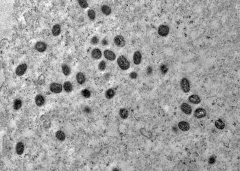 Brasil em atenção contra Mpox: 2024 já supera 2023 no número de casos
