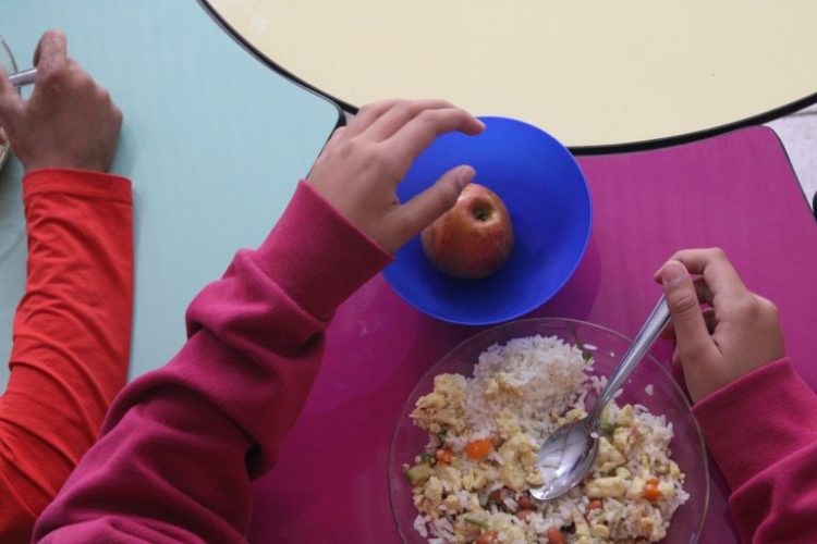 PNAE: 77% das entidades executoras declararam ter complementado o recurso PNAE: 77% das entidades executoras declararam ter complementado o recurso