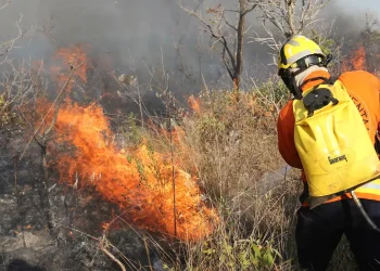 QUEIMADAS: Brasil registra 184 mil focos; estados atuam no combate aos incêndios