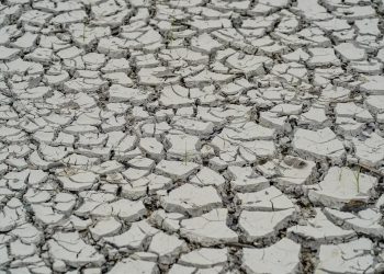 Seca extrema: ação humana é uma das causas principais do fenômeno climático