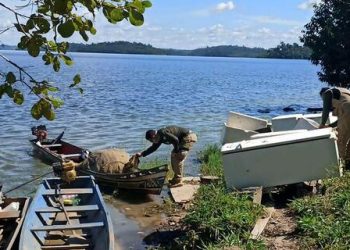 Seguro-Defeso: pescadores devem observar prazo para solicitar benefício