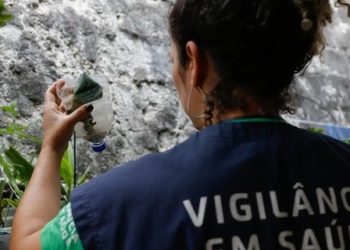 Dengue: Dia D de mobilização neste sábado (14)