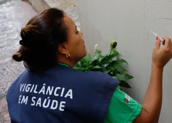 Dengue: estado do Acre e oito municípios decretam situação de emergência