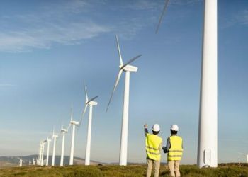 Energia verde: linha de crédito do BASA estimula produção de energia renovável e apoio a práticas sustentáveis no agro