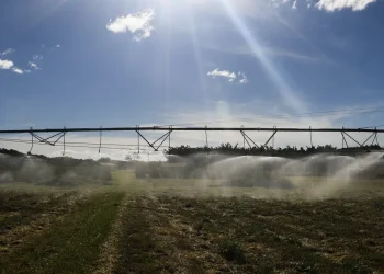 Safra 2025: IBGE prevê 322,6 milhões de toneladas, com crescimento de 10,2% frente a 2024
