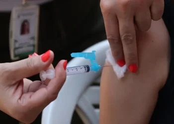 Dengue: 2025 pode superar casos do ano passado no Brasil, diz especialista