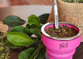 Do Paraná para o mundo: conheça empresa que exporta erva-mate para as Américas