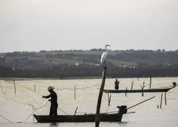 Período de defeso na Bacia Hidrográfica dos Rios Tocantins e Gurupi termina em 28 de fevereiro