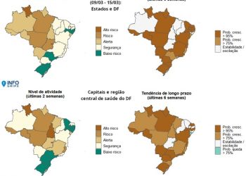 InfoGripe: 12 das 27 unidades federativas apresentam incidência de SRAG em nível de alerta