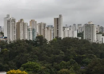 São Paulo lidera ranking de cidades brasileiras com maior intensidade de ligações empresariais