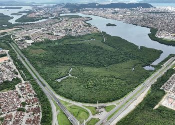 Cidades Verdes do Mundo: 34 municípios brasileiros fazem parte de seleta lista da ONU