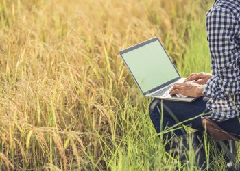 Curso de informática leva oportunidade e transformação à zona rural do Piauí