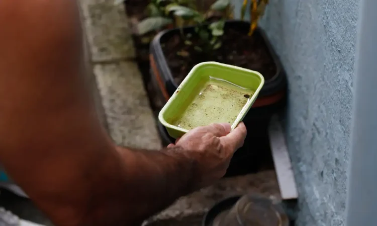 Dengue: 80 municípios prioritários terão ações de enfrentamento intensificadas; veja lista