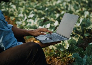 Ministério das Comunicações amplia em 174% as doações de computadores a comunidades indígenas