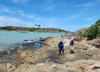 Pesquisa mineral: SGB lança Mapa Geológico da bacia de Alagoas