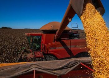 Tarifaço de Trump: cenário pode ser oportuno para exportações brasileiras de café e soja