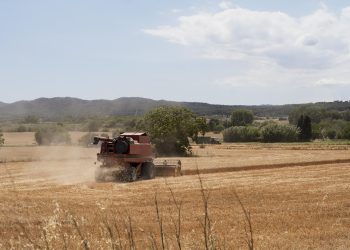 Valor da Terra Nua (VTN): prazo para envio termina nesta quarta (30)