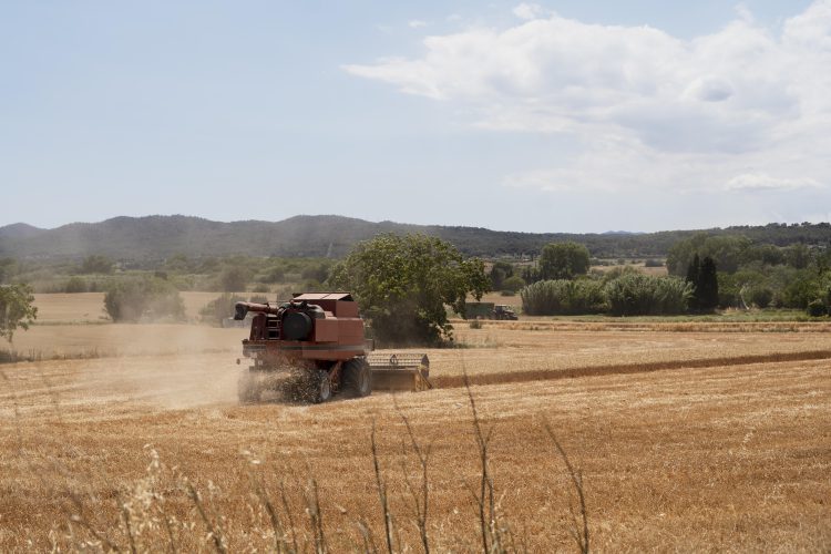 Valor da Terra Nua (VTN): prazo para envio termina nesta quarta (30)
