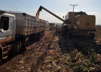 PIB cresce 1,4% puxado pela agropecuária