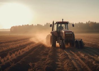 Seguro Rural: liberados R$ 179 milhões para a contratação no mês de maio