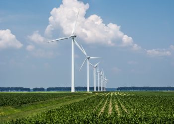 Energia limpa avança na indústria: 48% das empresas já adotam fontes renováveis