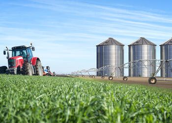 GO: Tarifaço dos EUA deve ocasionar queda de R$ 798 mi no PIB estadual; agroindústria, mineração e autopeças serão afetados
