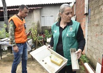 Goiânia (GO): município registra mais de 21 mil casos e sete mortes por dengue em 2025