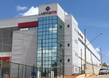 Terras raras: demanda brasileira deve crescer 6 vezes até 2034; saiba o que são