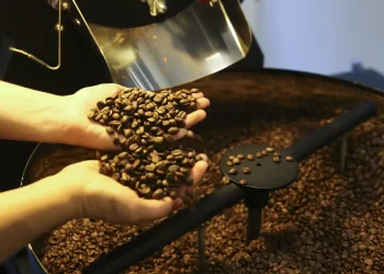 Agronegócio brasileiro bate recorde e exporta US$ 15,6 bilhões em julho