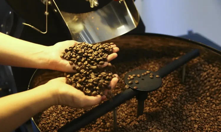 Agronegócio brasileiro bate recorde e exporta US$ 15,6 bilhões em julho