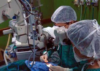 Doação de órgãos: Brasil bate recorde, mas recusa familiar ainda é alta