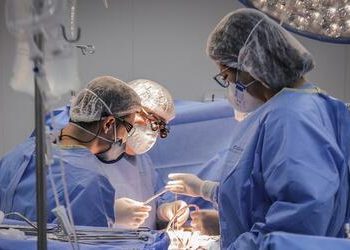 Doação de órgãos: transplantes de intestino delgado e multivisceral entram no SUS