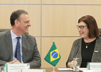Mapa e Petrobras debatem integração entre agro e energia para impulsionar o desenvolvimento do Brasil