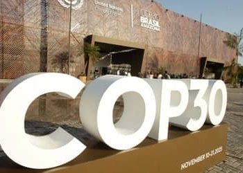 COP30: Estudo aponta que FNO impulsionou emprego, renda e redução do desmatamento na Amazônia