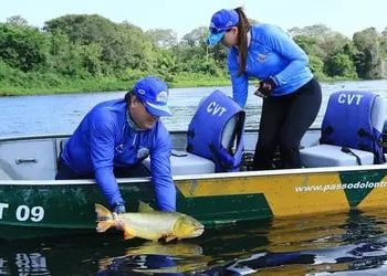 Pesca comercial: confira início do período de defeso nas bacias hidrográficas