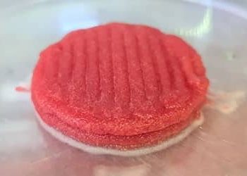 Carne feita em impressora 3D: projeto cria proteína sem abate animal