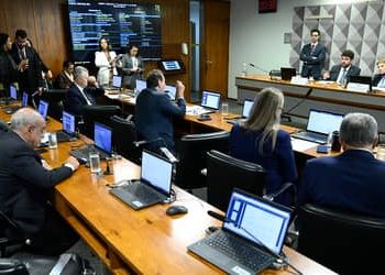 Comissão especial aprova relatório para criação da licença ambiental especial