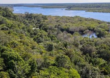Licenciamento Ambiental: entidades veem derrubada de vetos como avanço para o desenvolvimento sustentável
