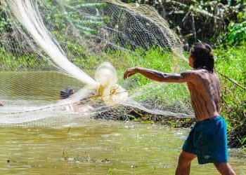 Seguro-defeso: pescadores precisam enviar REAP pelo PesqBrasil até esta quarta-feira (31) 