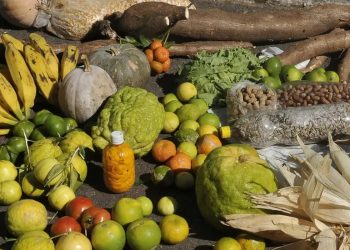 Prazo para adesão ao PAA termina em 19 de janeiro para municípios do Norte e Nordeste