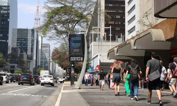 Preço da gasolina e diesel em São Paulo (SP): veja os valores médios