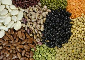 Exportações de pulses do Brasil sobem 30% em 2025, com destaque para o feijão