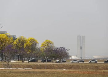 Preço da gasolina e diesel em Brasília (DF): veja os valores médios