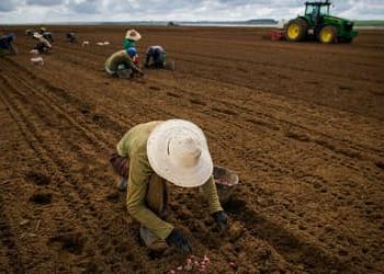 FPA articula para votar novas regras do Seguro Rural esta semana