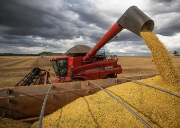 PIB cresce 2,3% em 2025 e alcança os R$ 12,7 trilhões, impulsionado por safras recordes de milho e soja