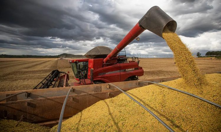 PIB cresce 2,3% em 2025 e alcança os R$ 12,7 trilhões, impulsionado por safras recordes de milho e soja