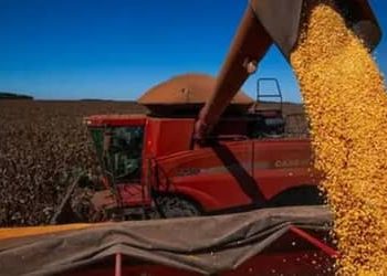 PIB da agropecuária avança 11,7% e contribui para fortalecimento da economia em 2025