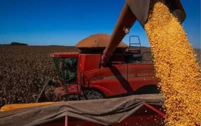 PIB da agropecuária avança 11,7% e contribui para fortalecimento da economia em 2025 PIB da agropecuária avança 11,7% e contribui para fortalecimento da economia em 2025